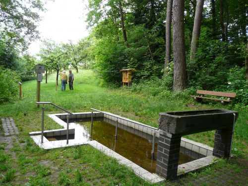 Insektenhotel am Tretbecken Insekh-tretb-500.jpg