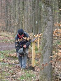 Waldlehrpfad-Krimlinde-200.jpg Waldlehrpfad-Krimlinde-200.jpg