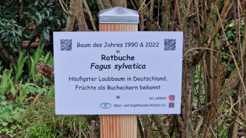Rotbuche-Schild-500x281.jpg Rotbuche-Schild-500x281.jpg