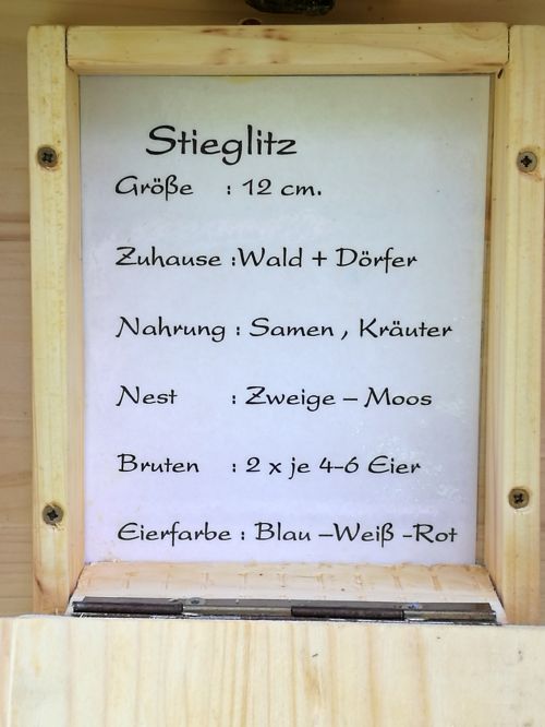 Stieglitz-Text Stieglitz-Text