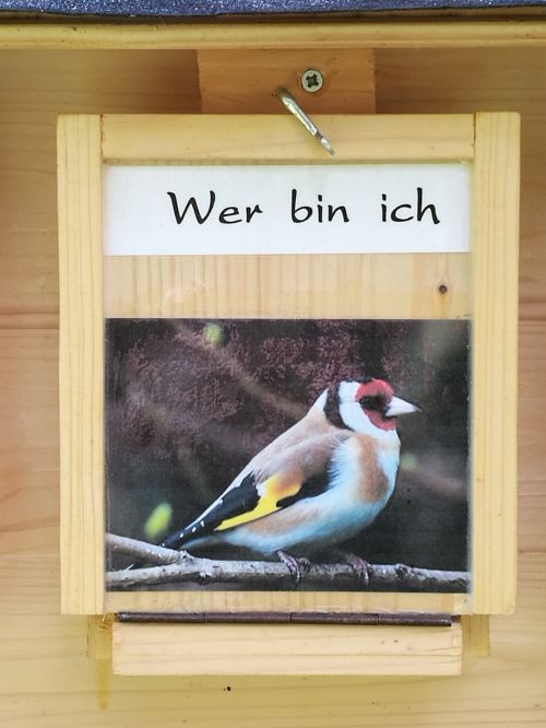 Stieglitz-geschlossen-500.jpg Stieglitz-geschlossen-500.jpg