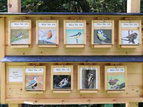 Vogel-Infotafel Vogel-Infotafel