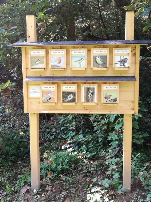Vogel-Infotafel komplette Darstellung Vogel-Infotafel-komplett