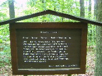 Waldlehrpfad-Mischbestand-200.jpg Waldlehrpfad-Mischbestand-200.jpg