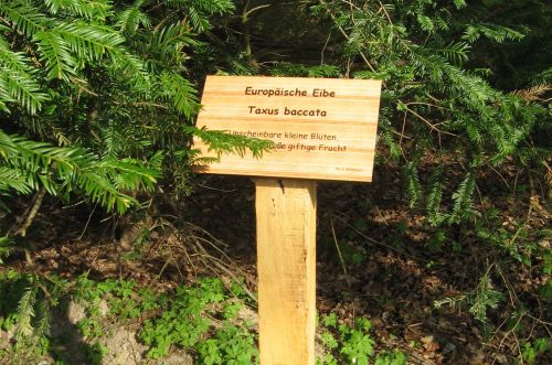 Waldlehrpfad-neu-500x331.jpg Waldlehrpfad-neu-500x331.jpg