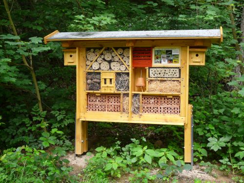 Insektenhotel insekh-500.jpg