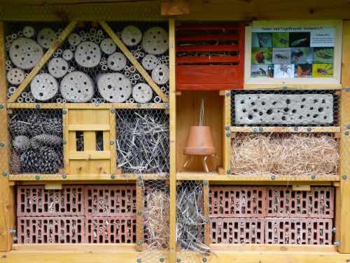 Insekhotel Inhalt insekh-inhalt-500.jpg