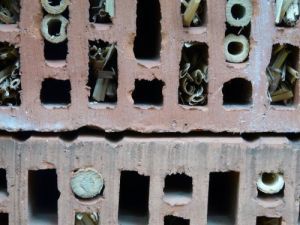 Insekhotel Stein insekh-stein-300.jpg